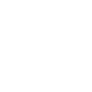 W1280px-Nielsen_logo.svg